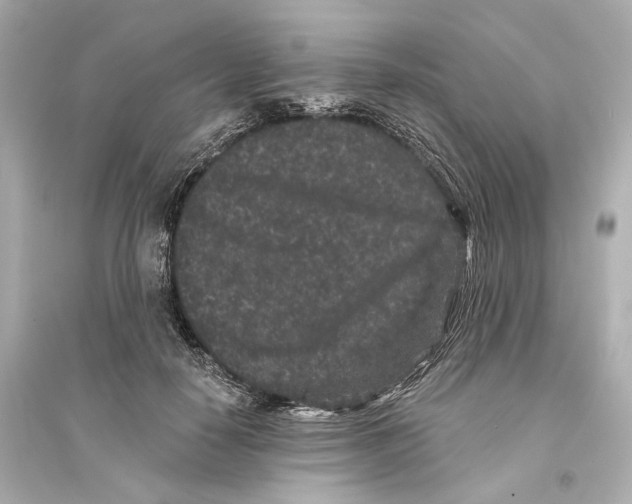 X0000093760650200711131149