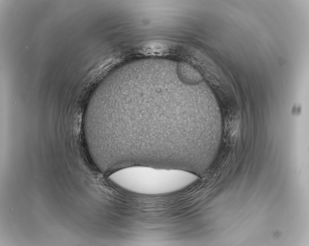 X0000093760652200711131149