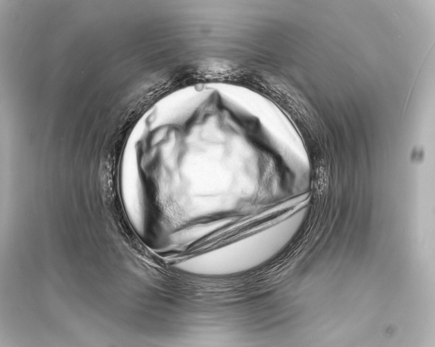 X0000093760653200711131149