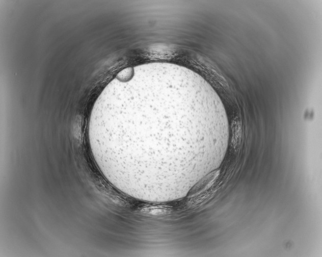 X0000093760655200711131149