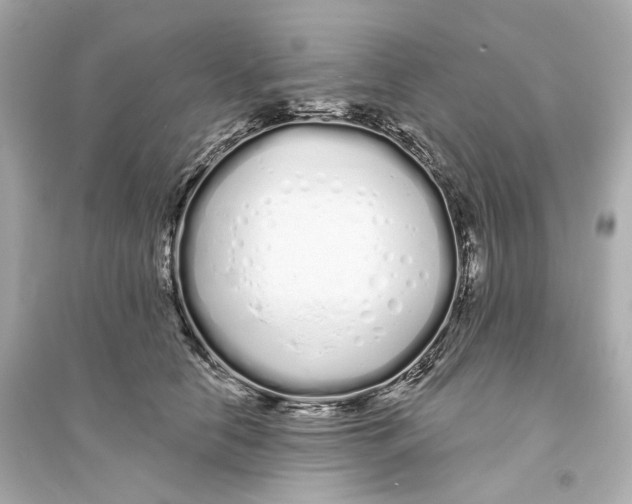 X0000093760658200711131150