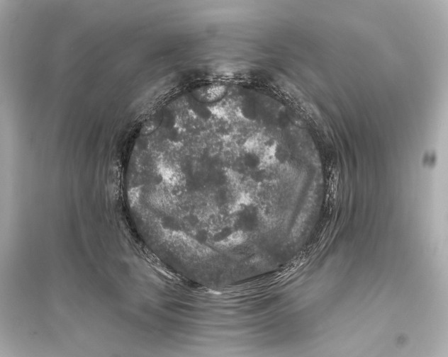 X0000093760659200711131150