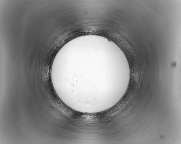 X0000093760660200711131150