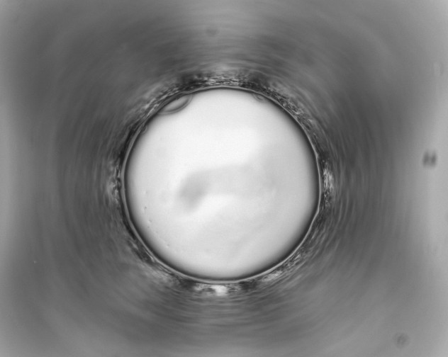 X0000093760663200711131150