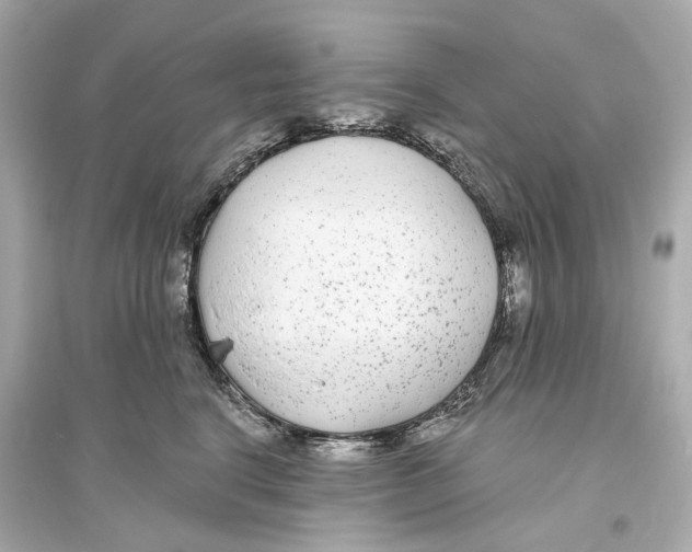 X0000093760664200711131150