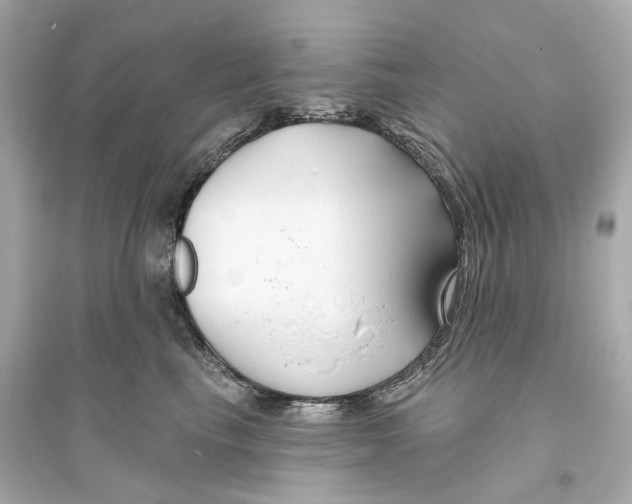 X0000093760665200711131150