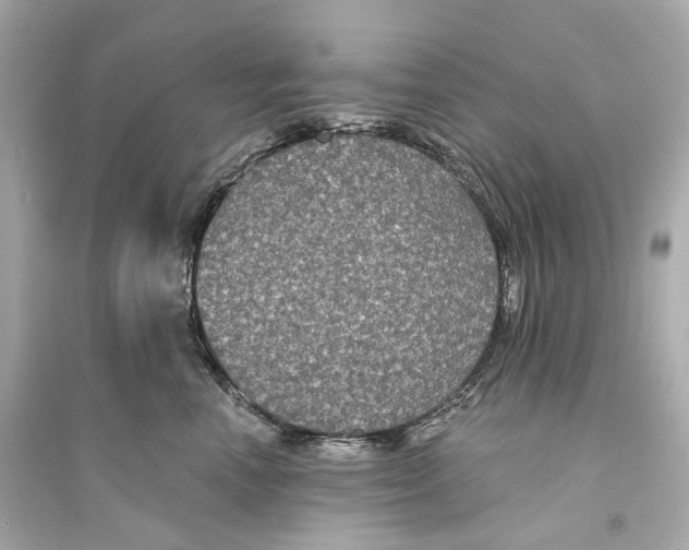 X0000093760666200711131150