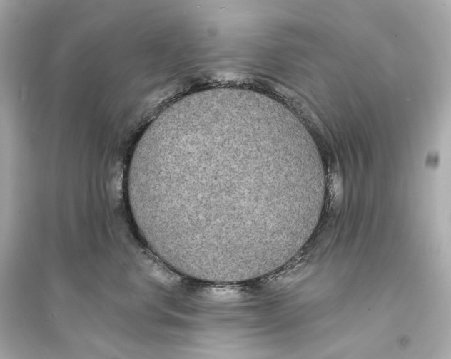 X0000093760668200711131150