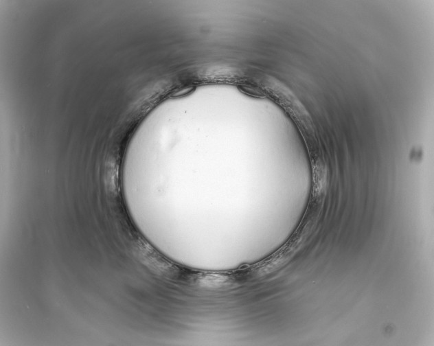 X0000093760669200711131150