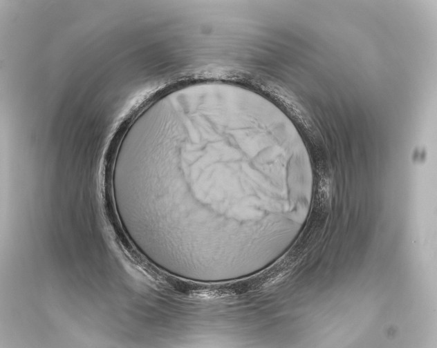 X0000093760678200711131149