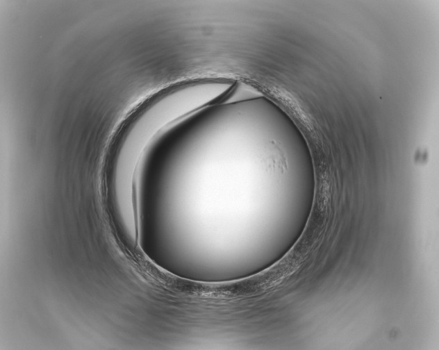 X0000093760680200711131149