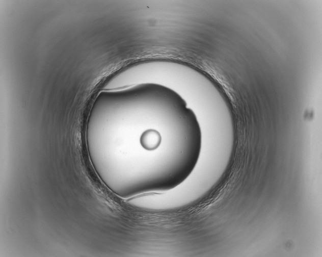 X0000093760681200711131149