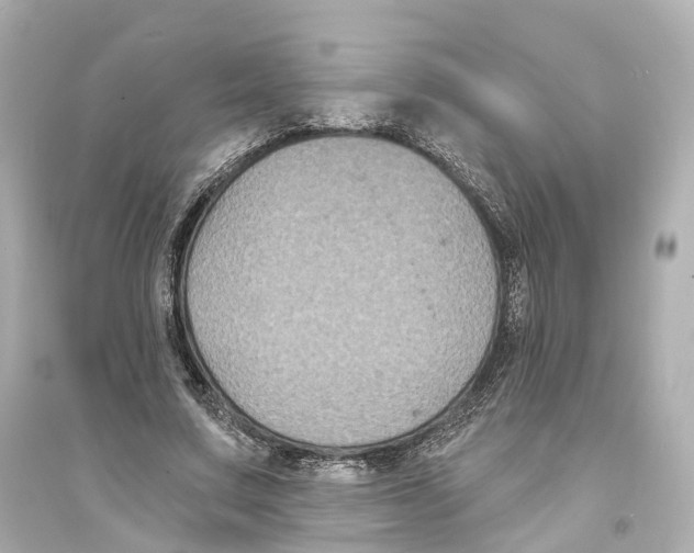 X0000093760683200711131149