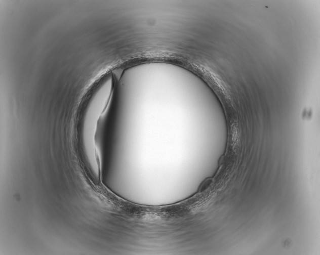 X0000093760684200711131149