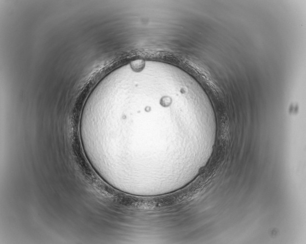 X0000093760687200711131149