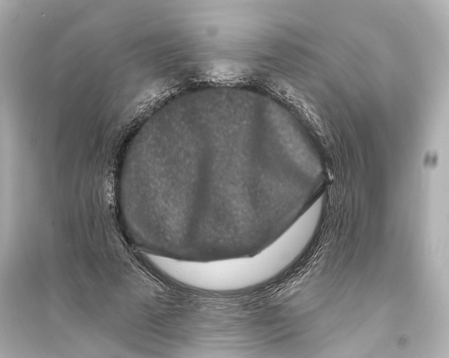 X0000093760689200711131149