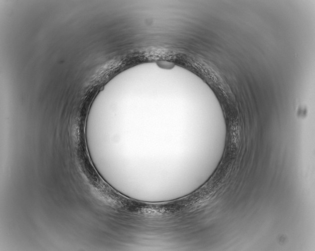 X0000093760690200711131149