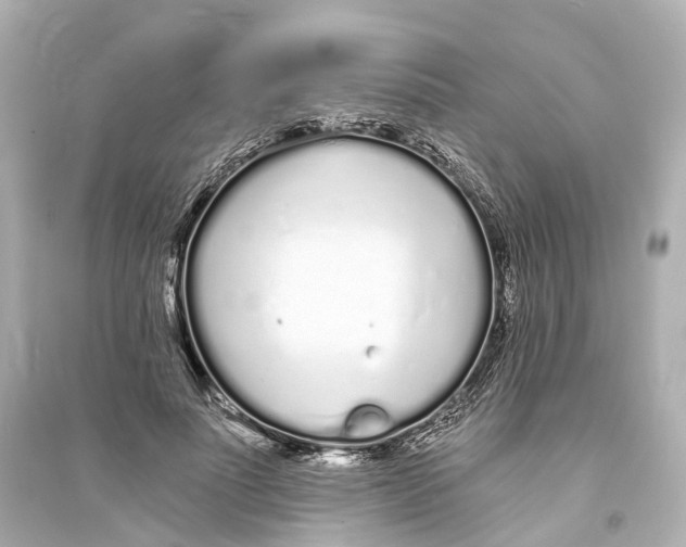 X0000093760691200711131149