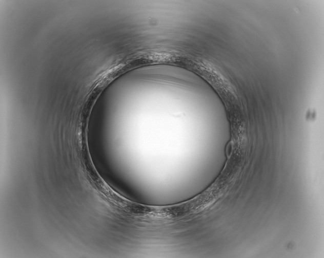 X0000093760696200711131149