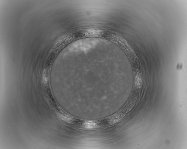 X0000093760701200711131149