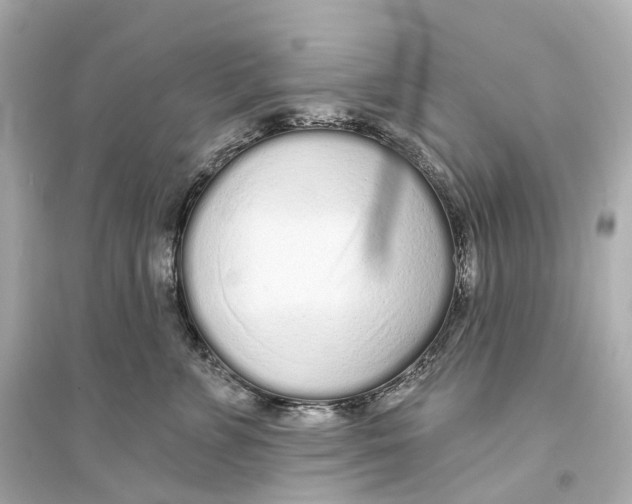 X0000093760715200711131148