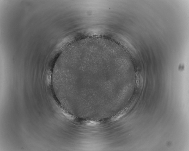 X0000093760718200711131148