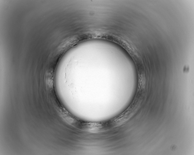 X0000093760719200711131148