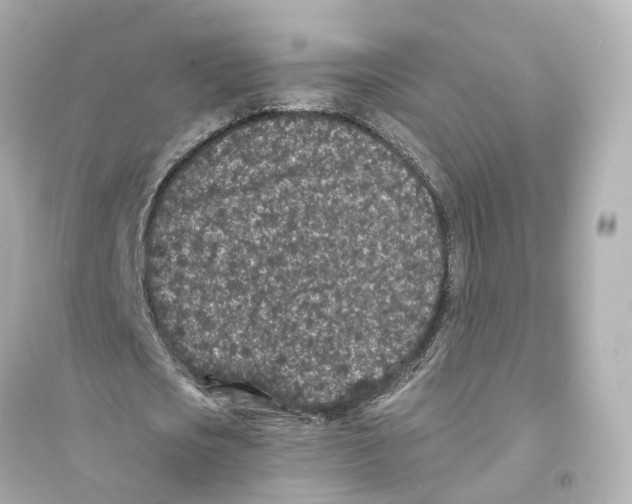 X0000093760721200711131148