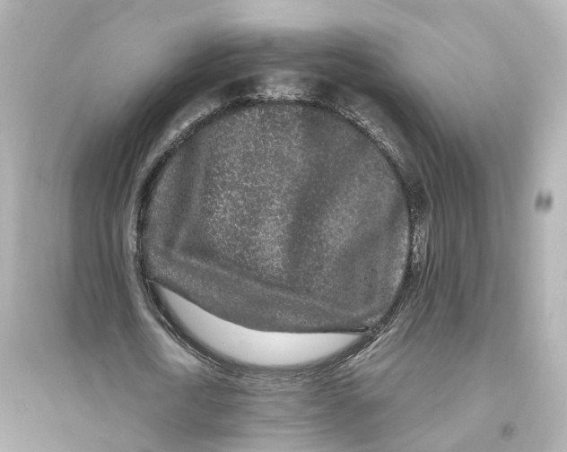 X0000093760722200711131148