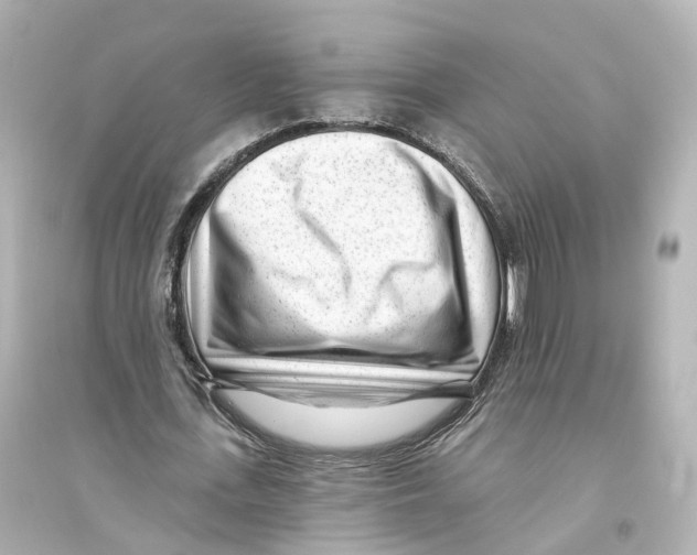 X0000093760723200711131148