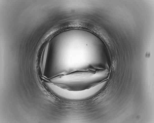 X0000093760724200711131148