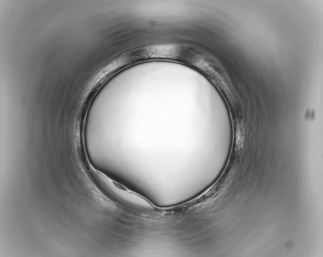 X0000093760725200711131148