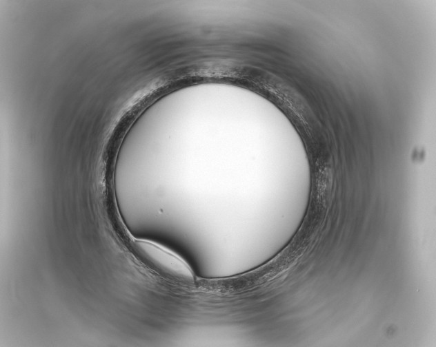 X0000093760727200711131148