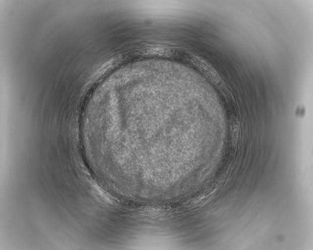 X0000093760729200711131148