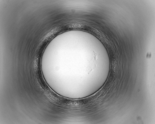 X0000093760735200711131148