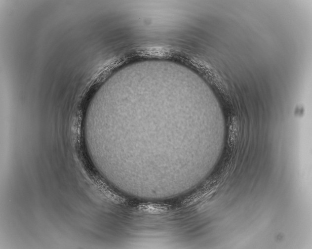 X0000093760739200711131148