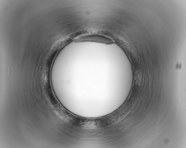 X0000093760740200711131148