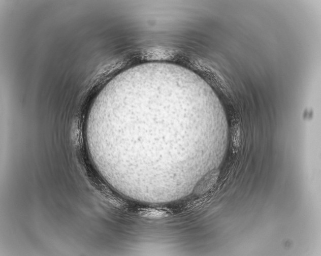 X0000093760743200711131148