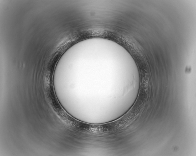 X0000093760744200711131148