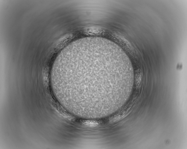 X0000093760749200711131148