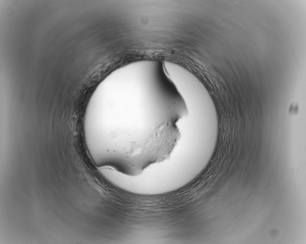 X0000093760750200711131148