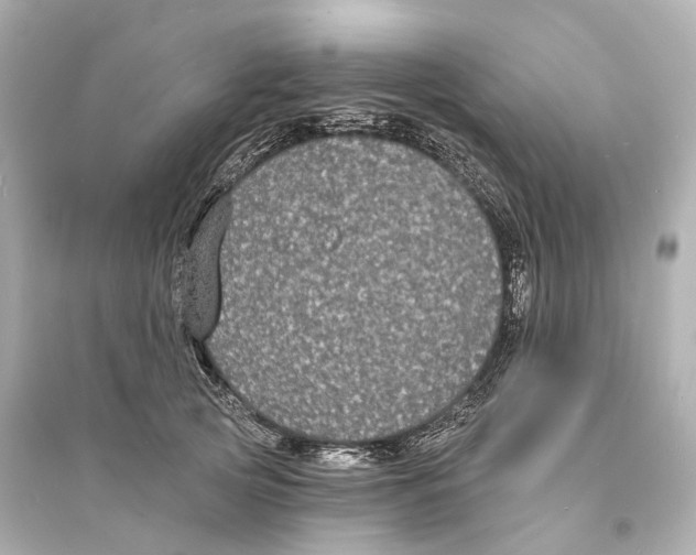 X0000093760753200711131148