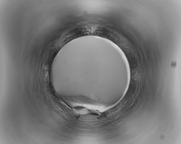 X0000093760754200711131148