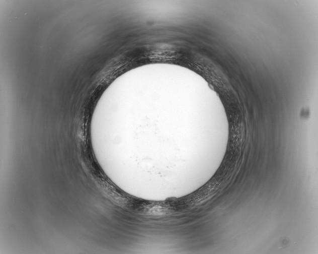 X0000093760755200711131148