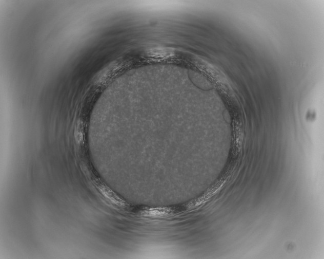 X0000093760758200711131148