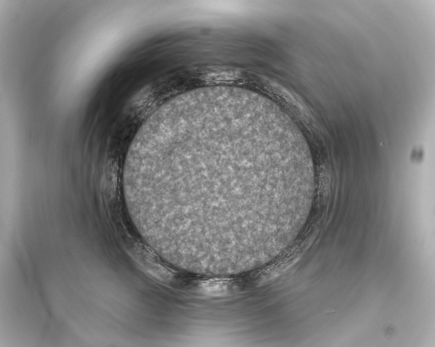 X0000093760761200711131148