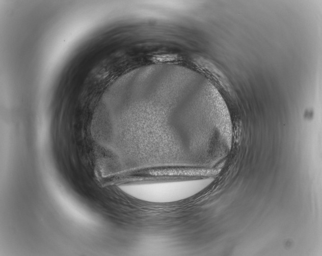 X0000093760763200711131148