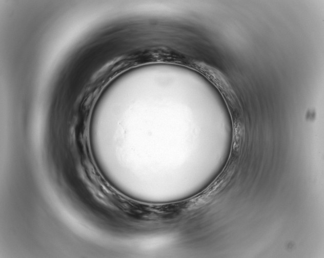 X0000093760765200711131148