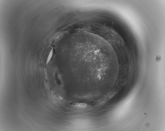 X0000093760767200711131148