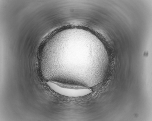 X0000093760776200711131147